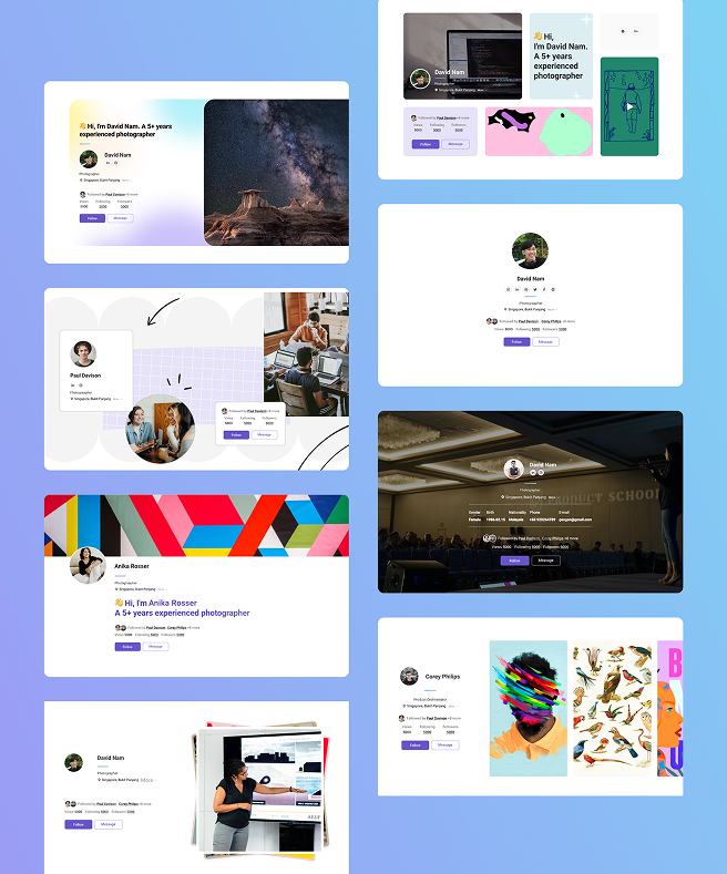 Visual Talent Profiles